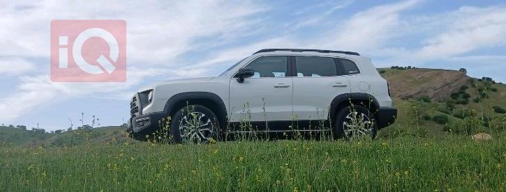 HAVAL Dargo